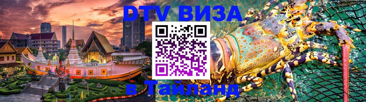 Сколько стоит DTV виза — актуальные цены, оформление даже без документов - Мурманск  20.11.2025 